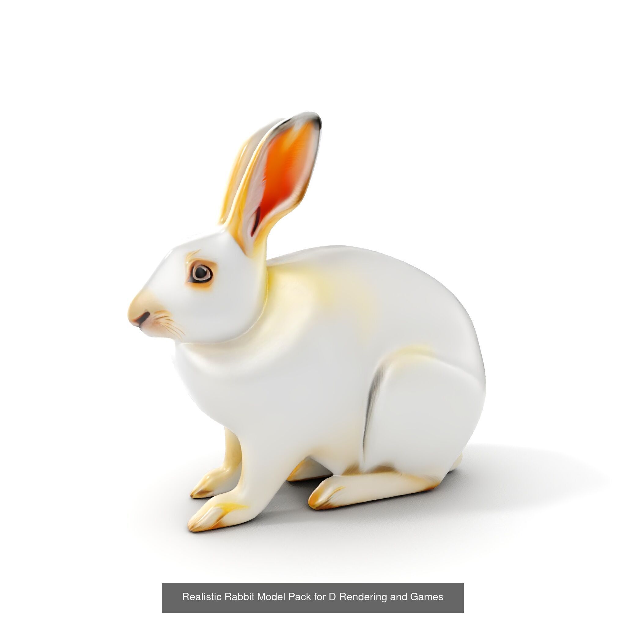 tundra animals collection _41