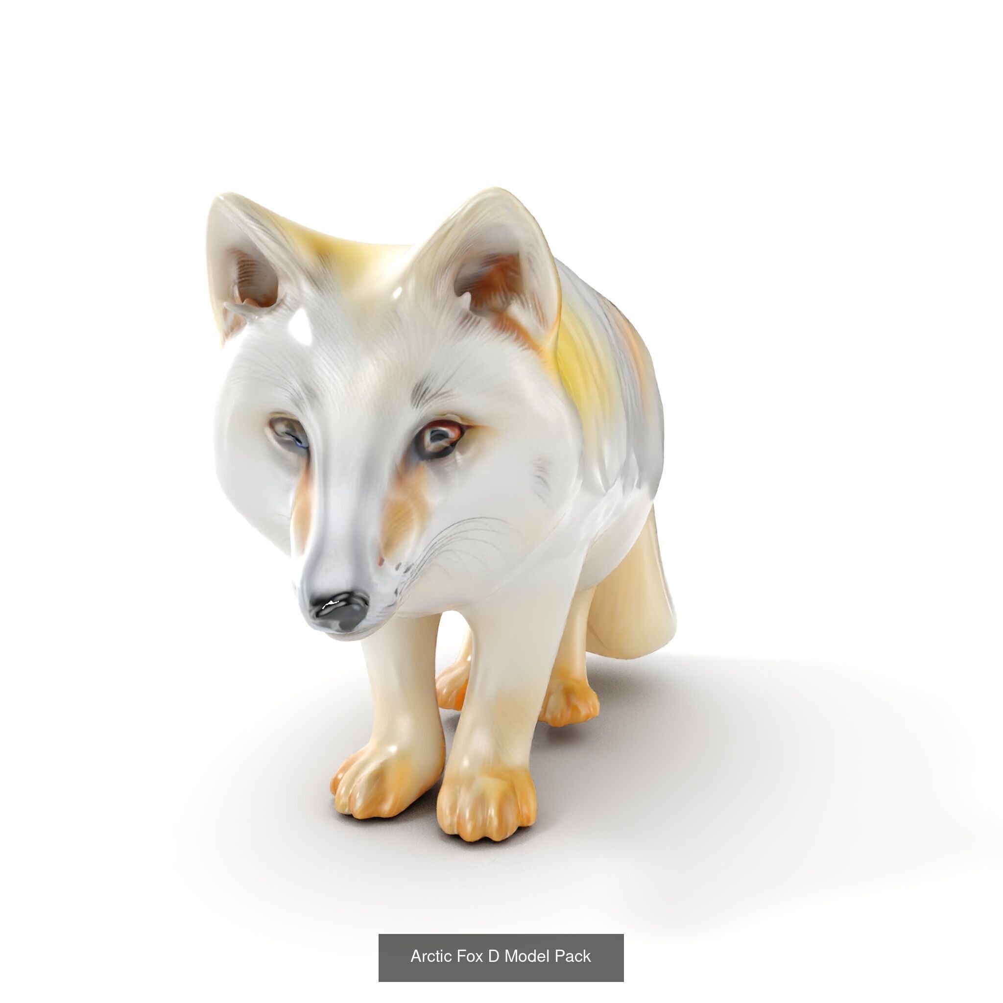 tundra animals collection _30