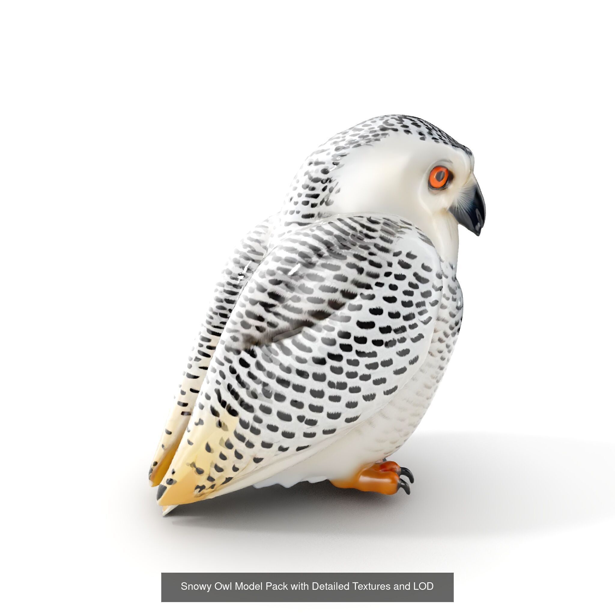 tundra animals collection _36