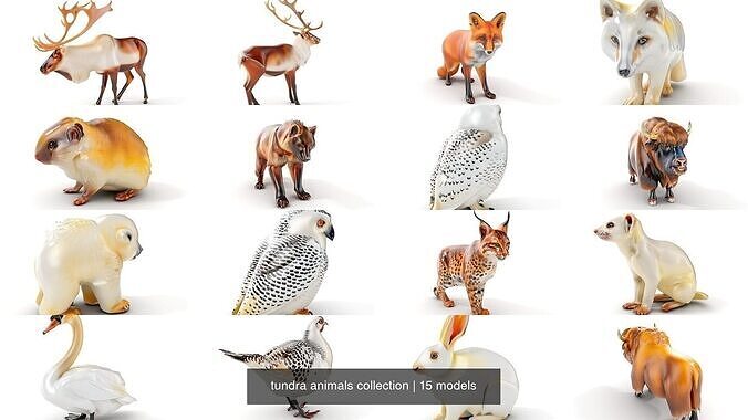 tundra animals collection 