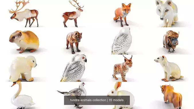 tundra animals collection 