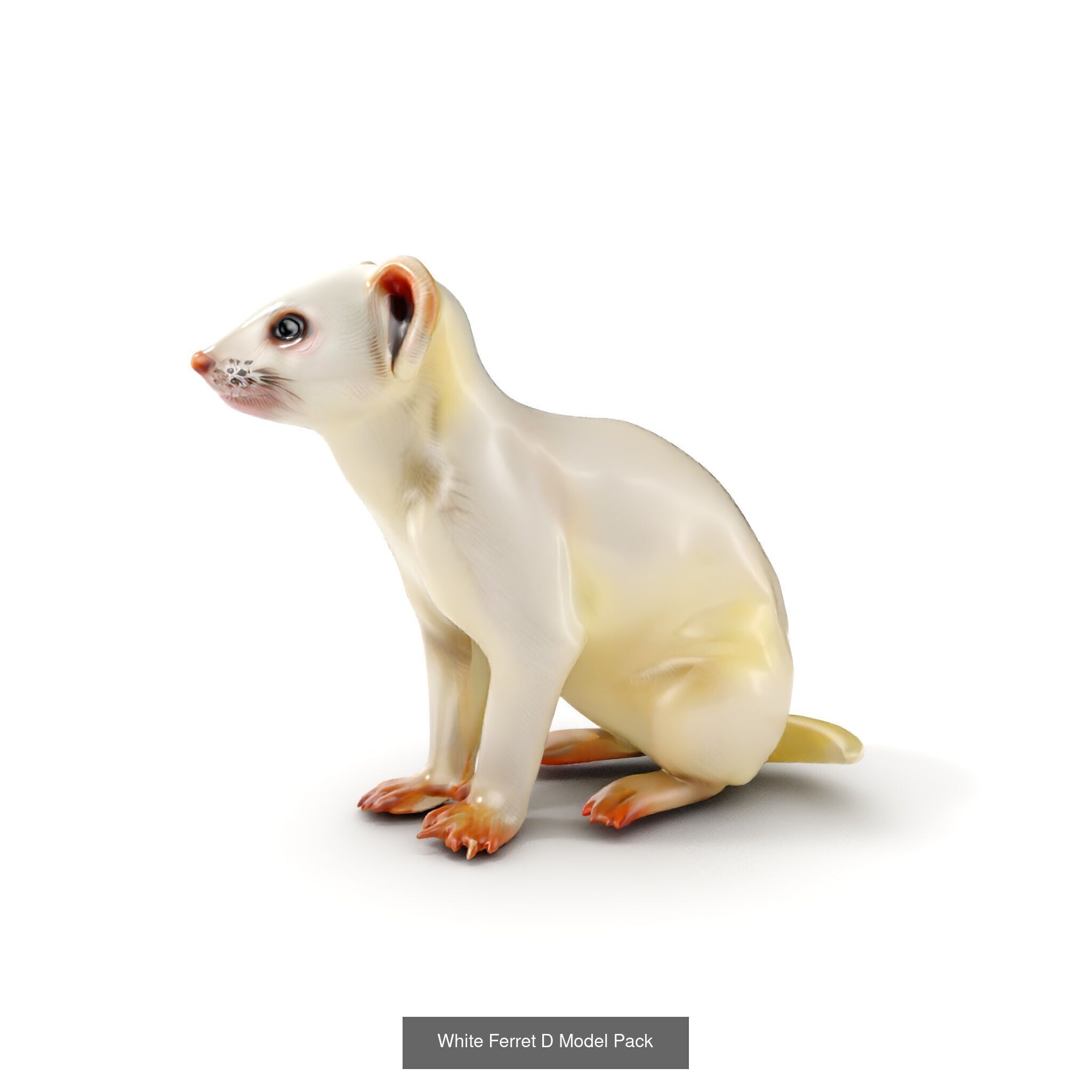 tundra animals collection _38