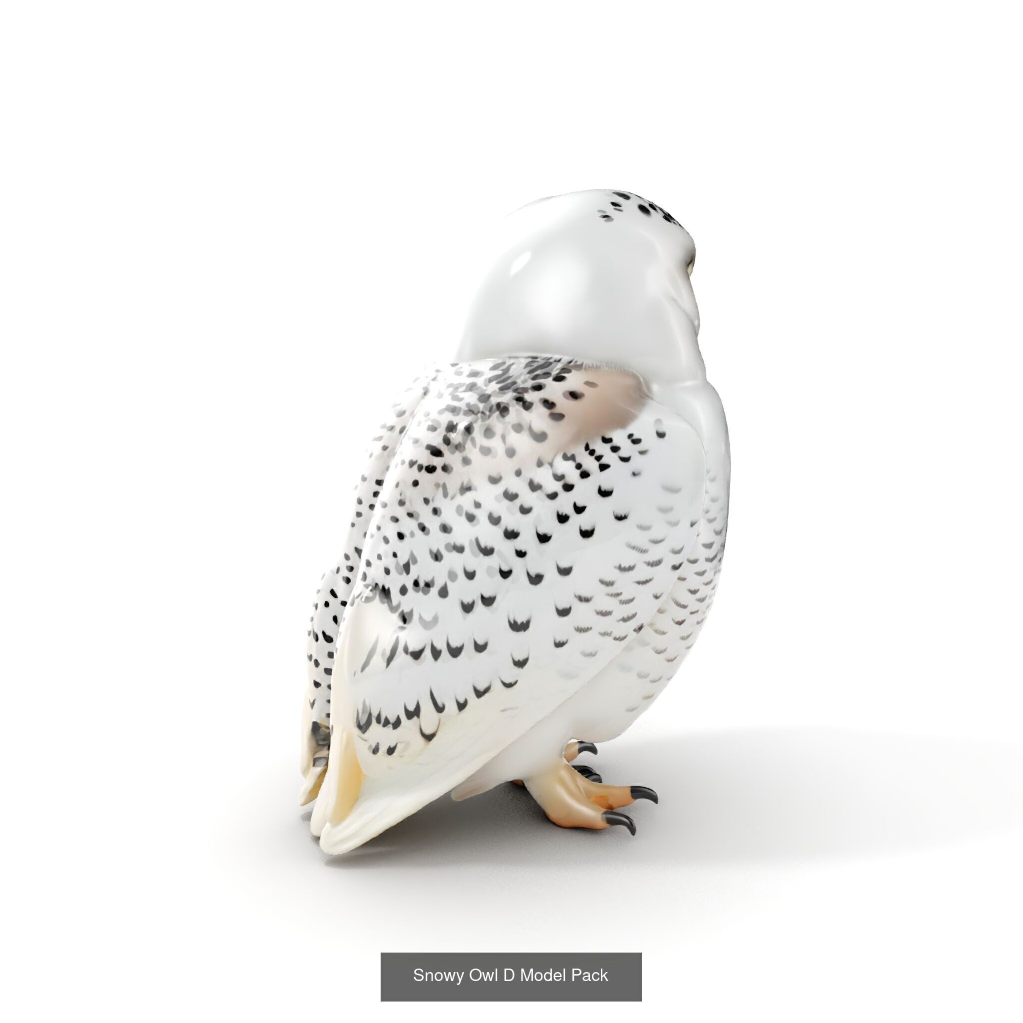 tundra animals collection _33