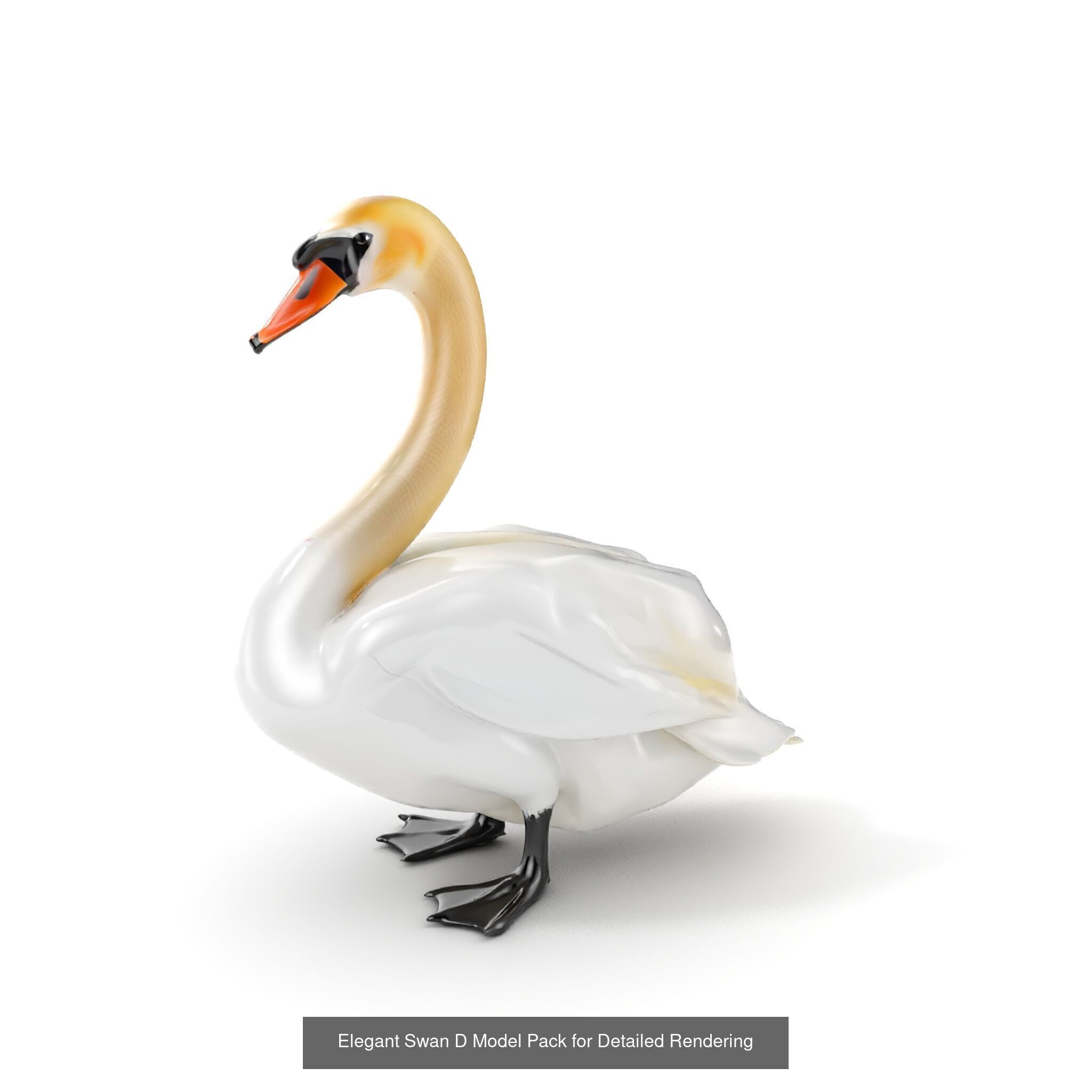 tundra animals collection _39