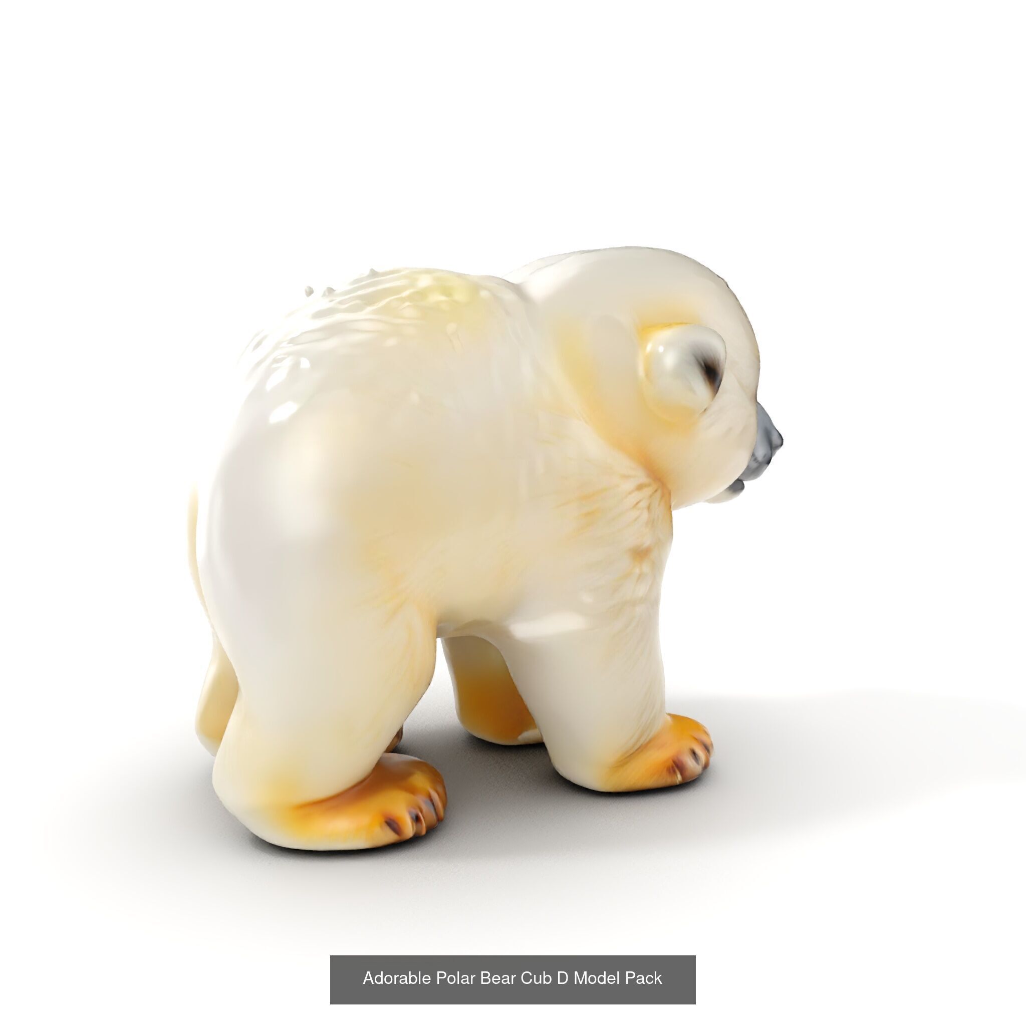 tundra animals collection _35