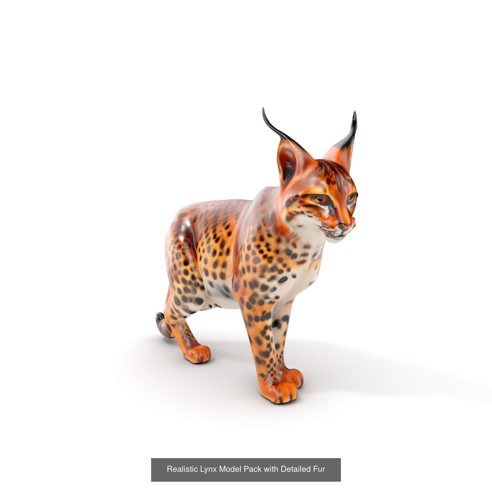 tundra animals collection _37