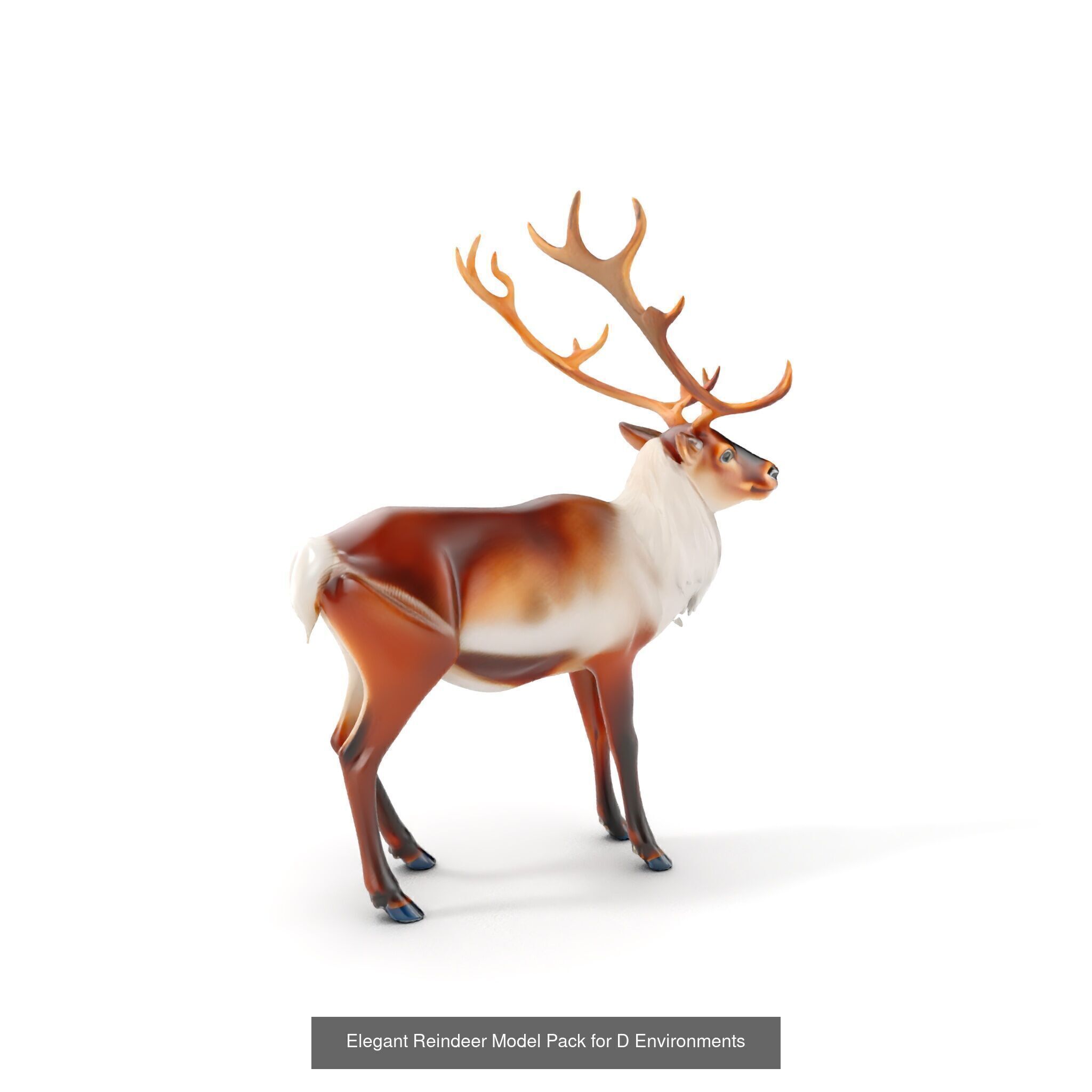 tundra animals collection _28