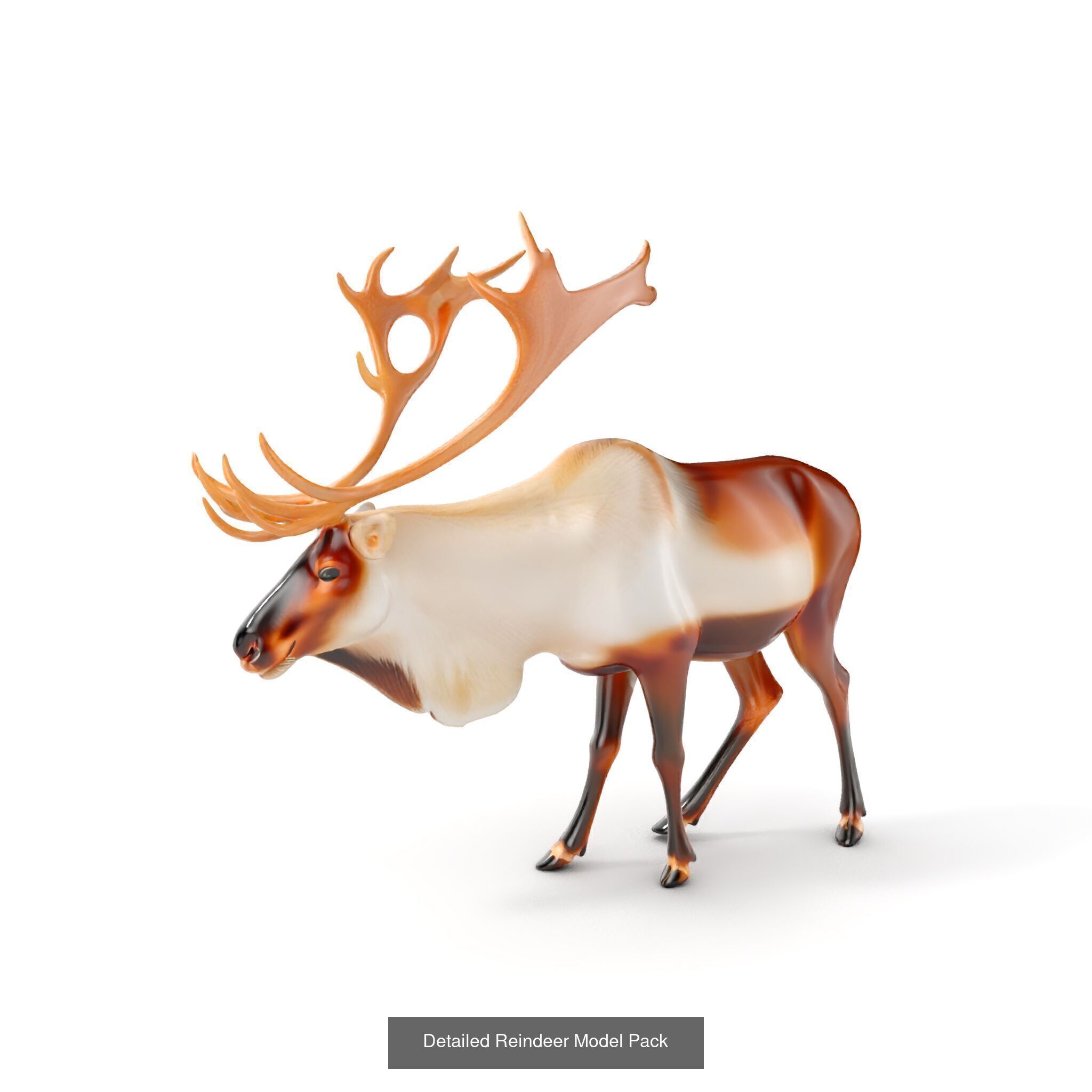 tundra animals collection _27