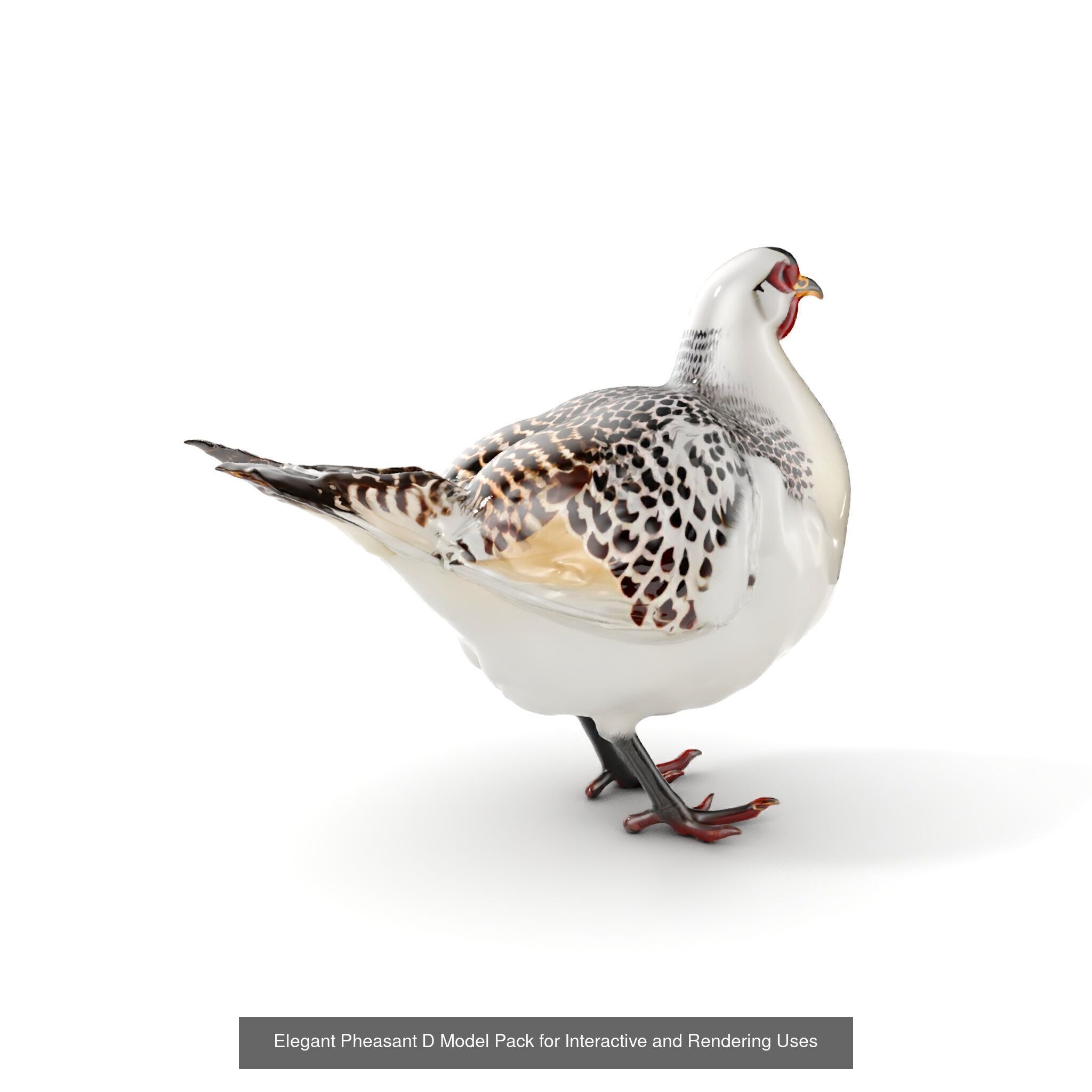 tundra animals collection _40