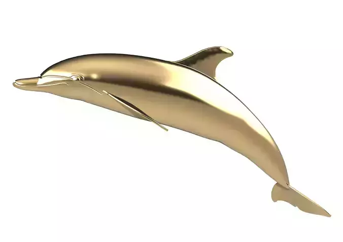 Dolphin