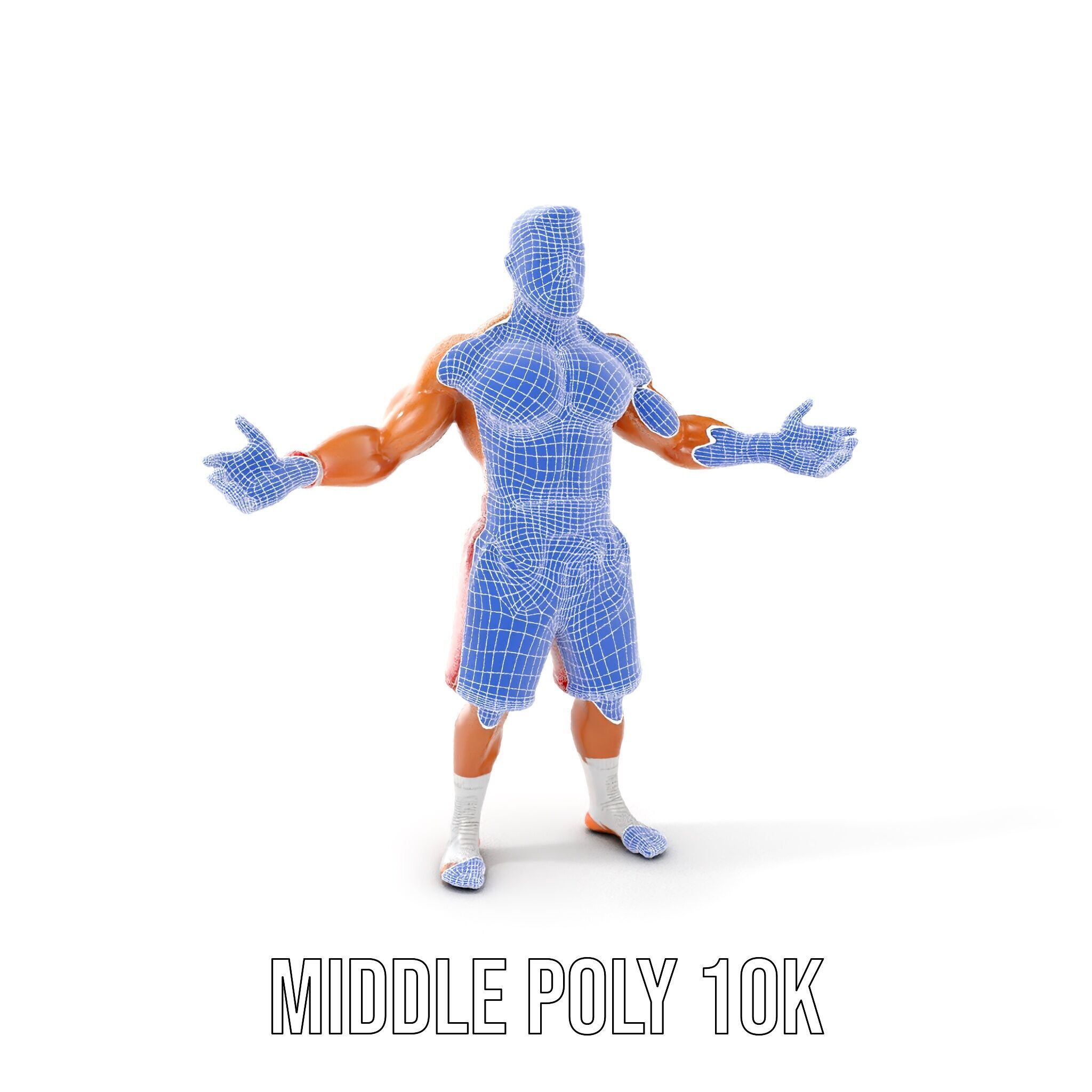 Boxer Warrior Character Rigged and Animated D Model Low-poly 3D model_22
