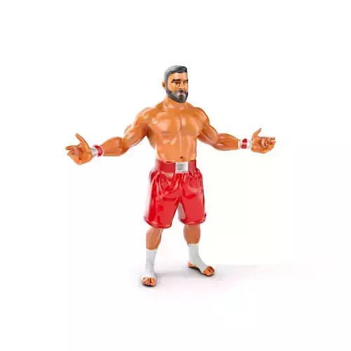 Boxer Warrior Character Rigged and Animated D Model Low-poly 3D model