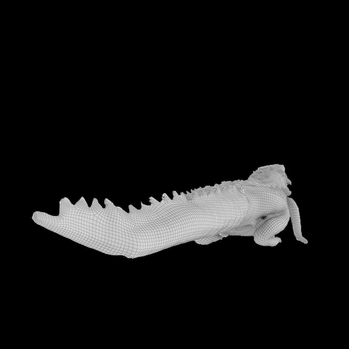 Crocodile alligator 3D model_34