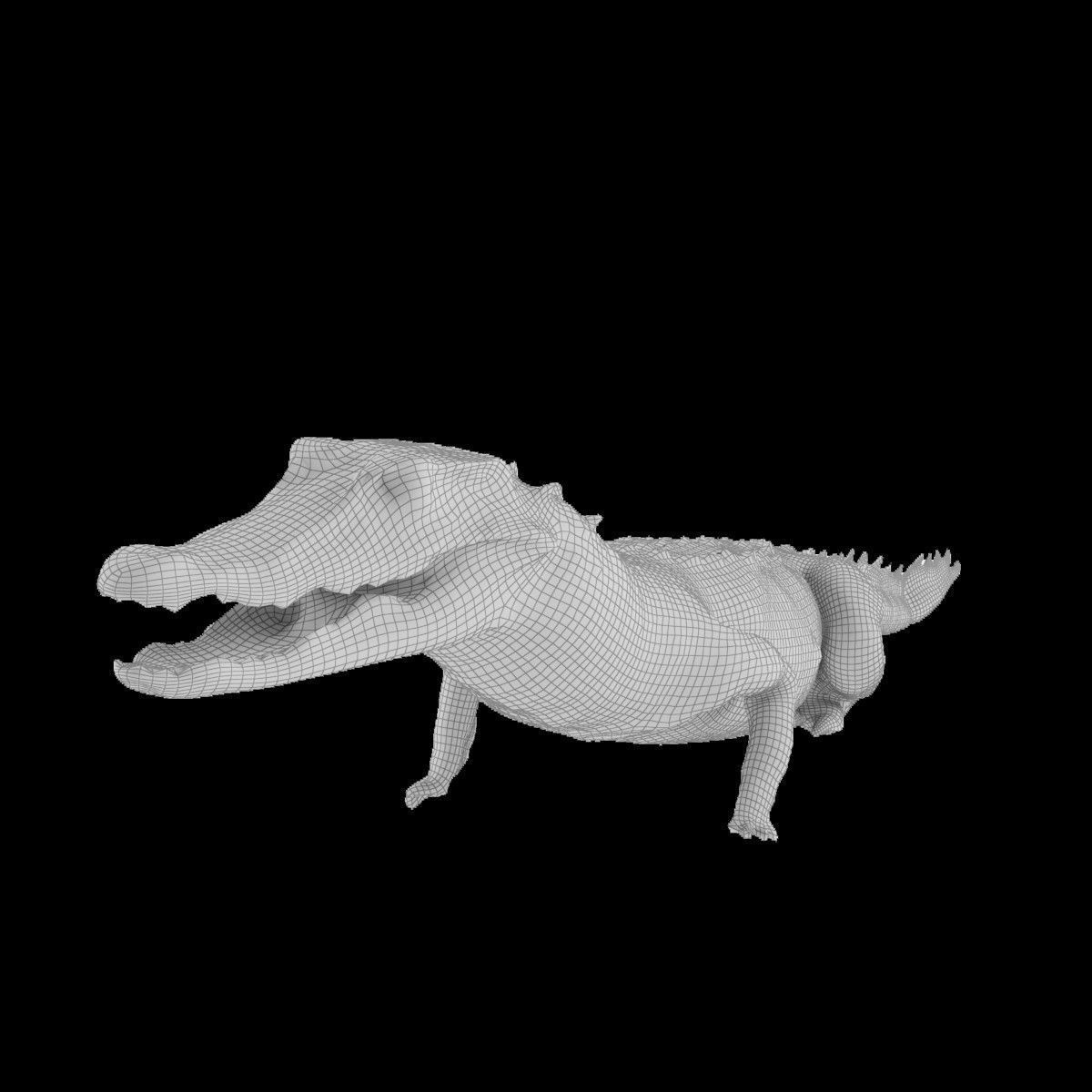Crocodile alligator 3D model_36