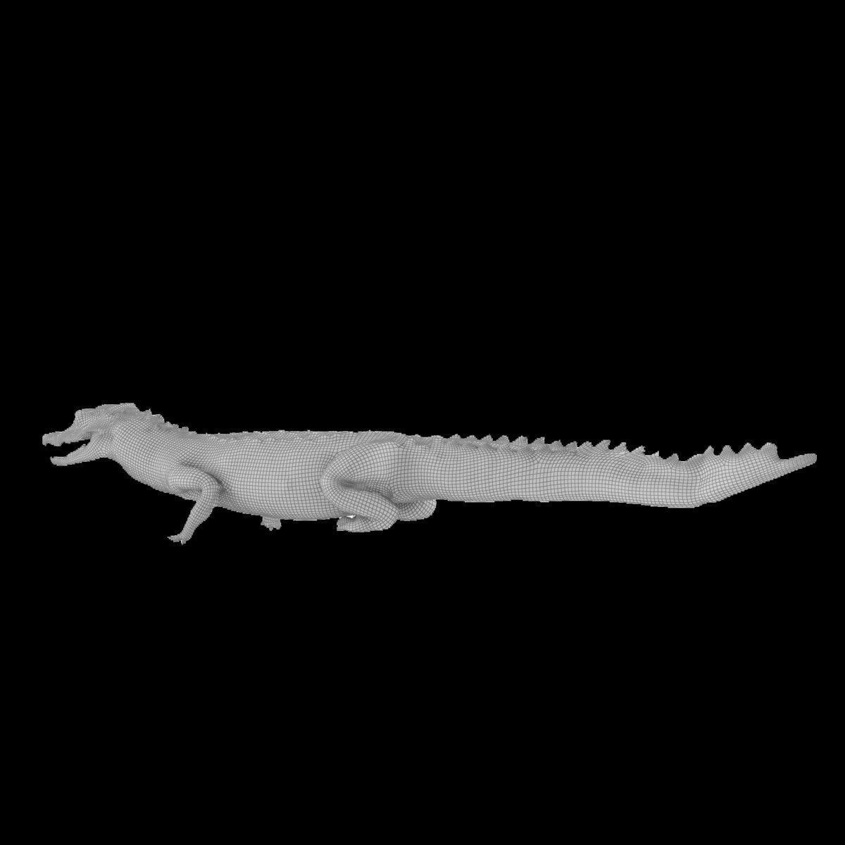 Crocodile alligator 3D model_35