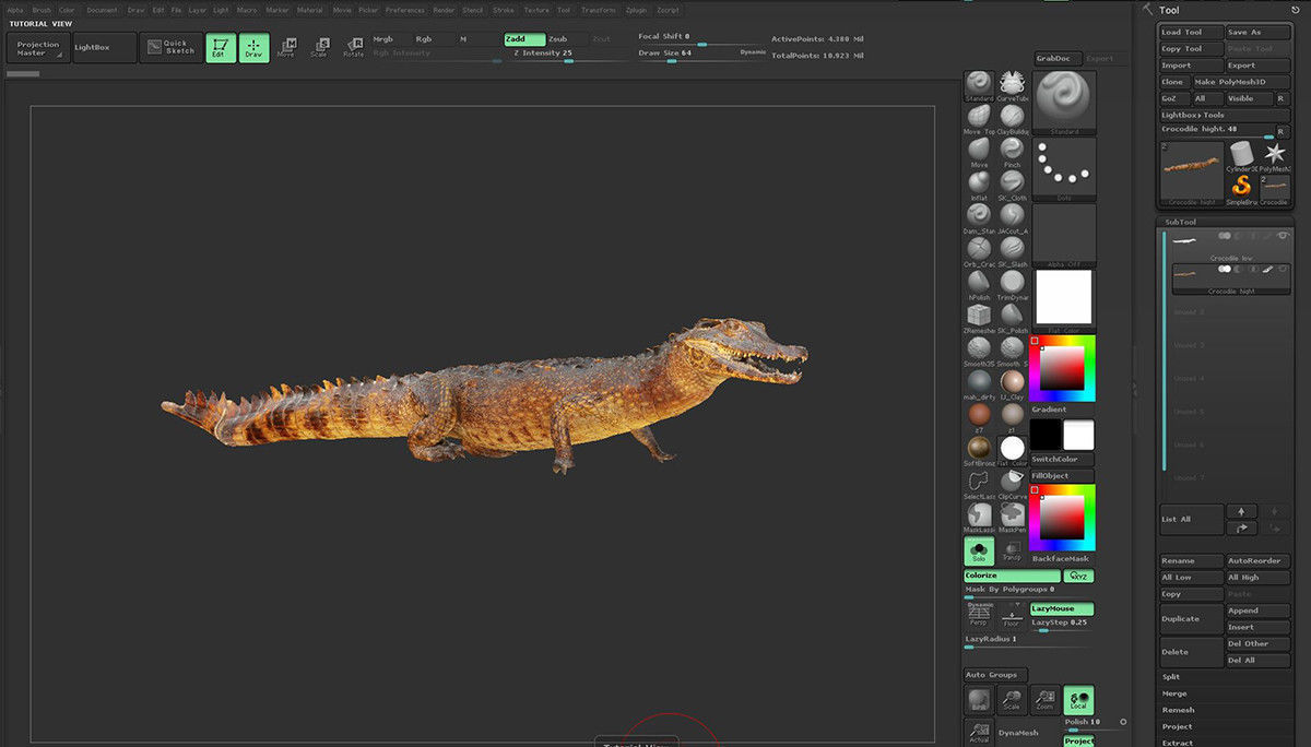 Crocodile alligator 3D model_38