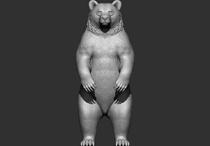 bear stl 3d printable model 3D print model