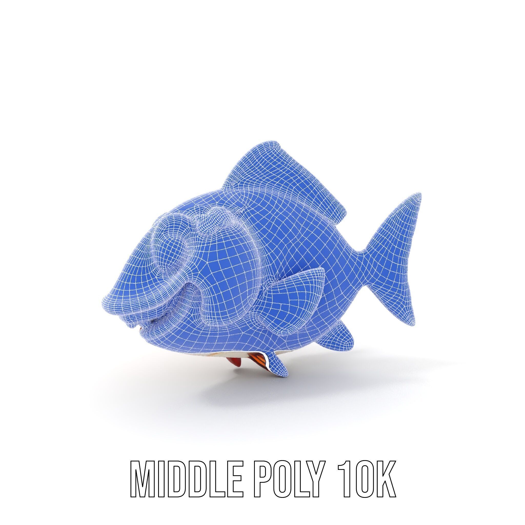 Cartoon Fish D Model Pack Low-poly 3D model_17