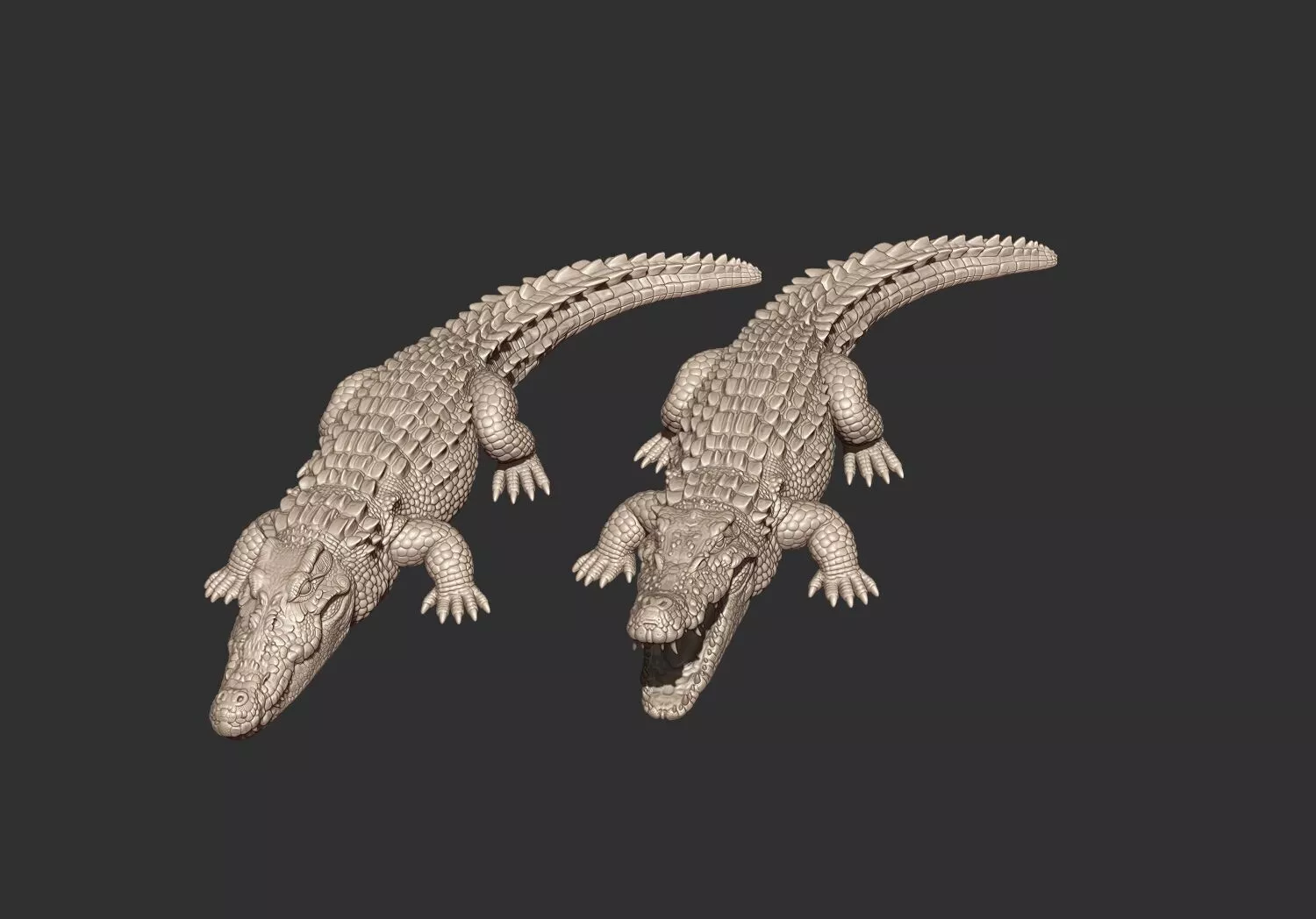 crocodile stl 3d printable model 3D print model