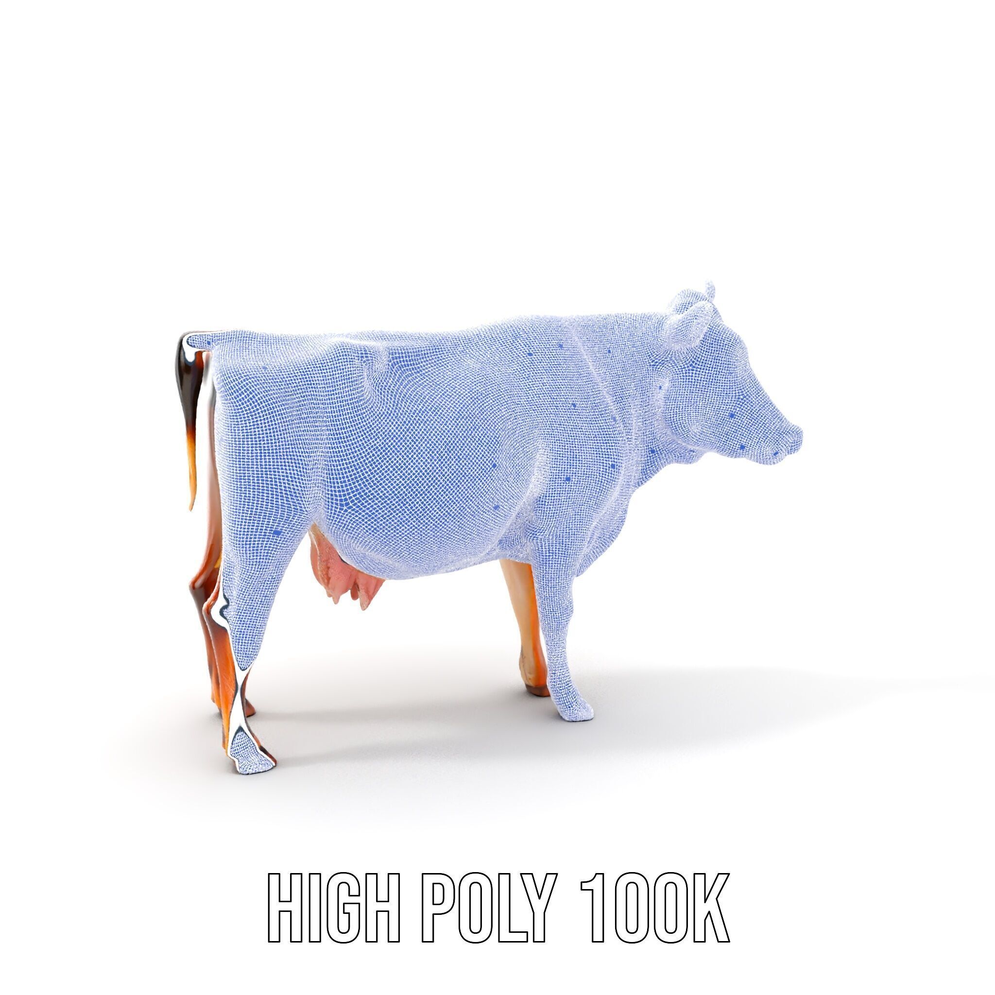 Realistic Cow Model Pack for D Rendering and Animation Low-poly 3D model_4