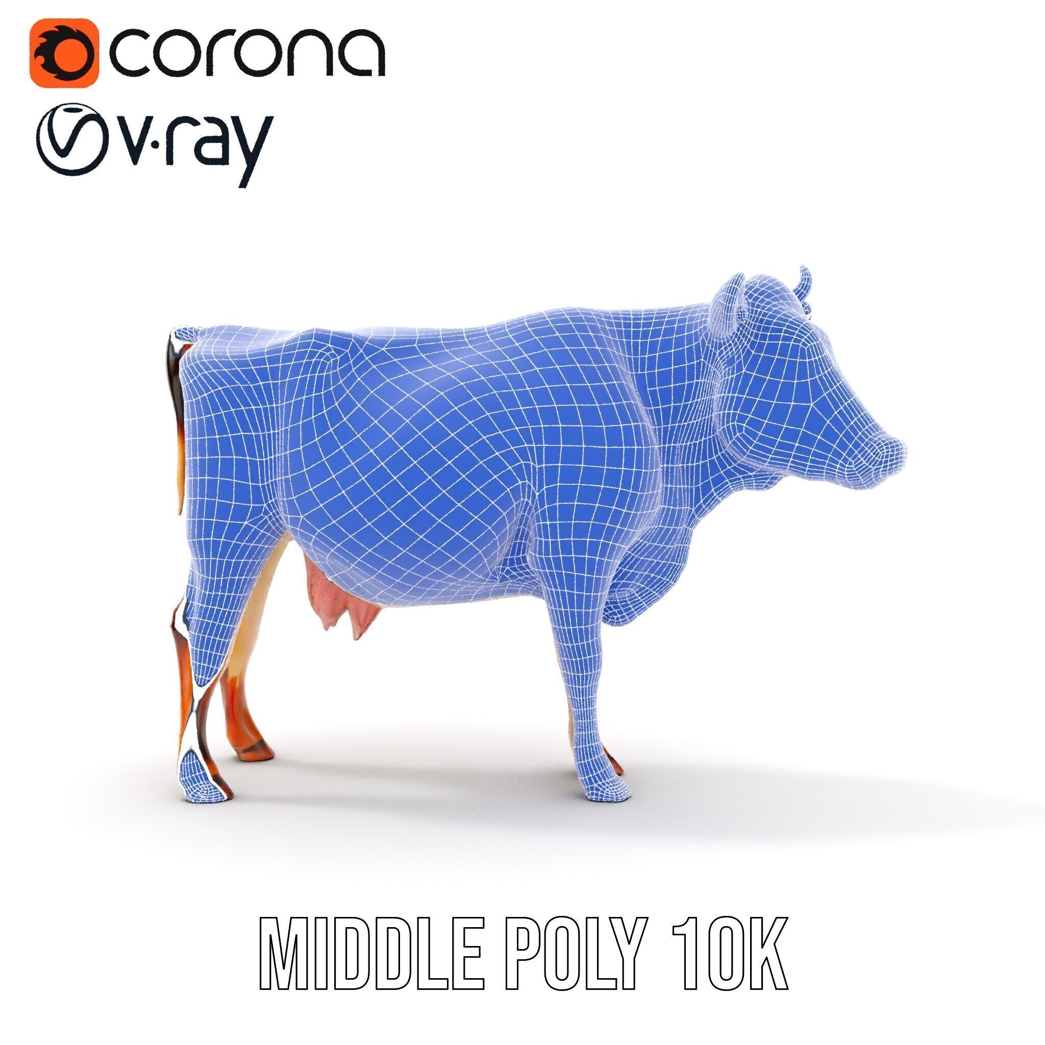 Realistic Cow Model Pack for D Rendering and Animation Low-poly 3D model_20