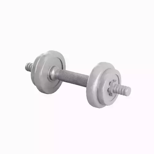 Metal Dumbbell 03 Low-poly 3D model