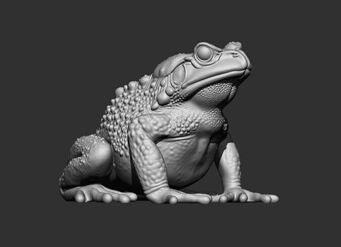 frog stl 3d printable model 3D print model