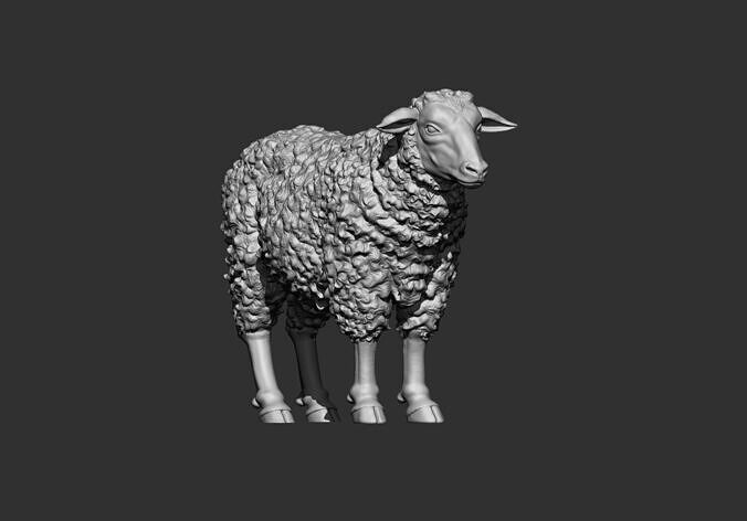 sheep stl 3d printable model 3D print model