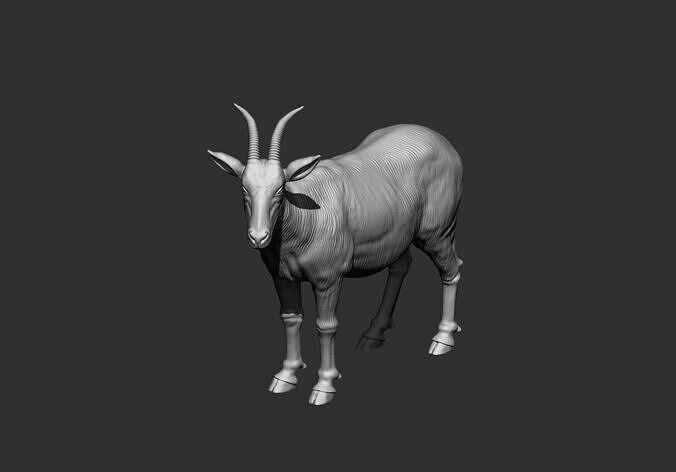 goat stl 3d printable model 3D print model