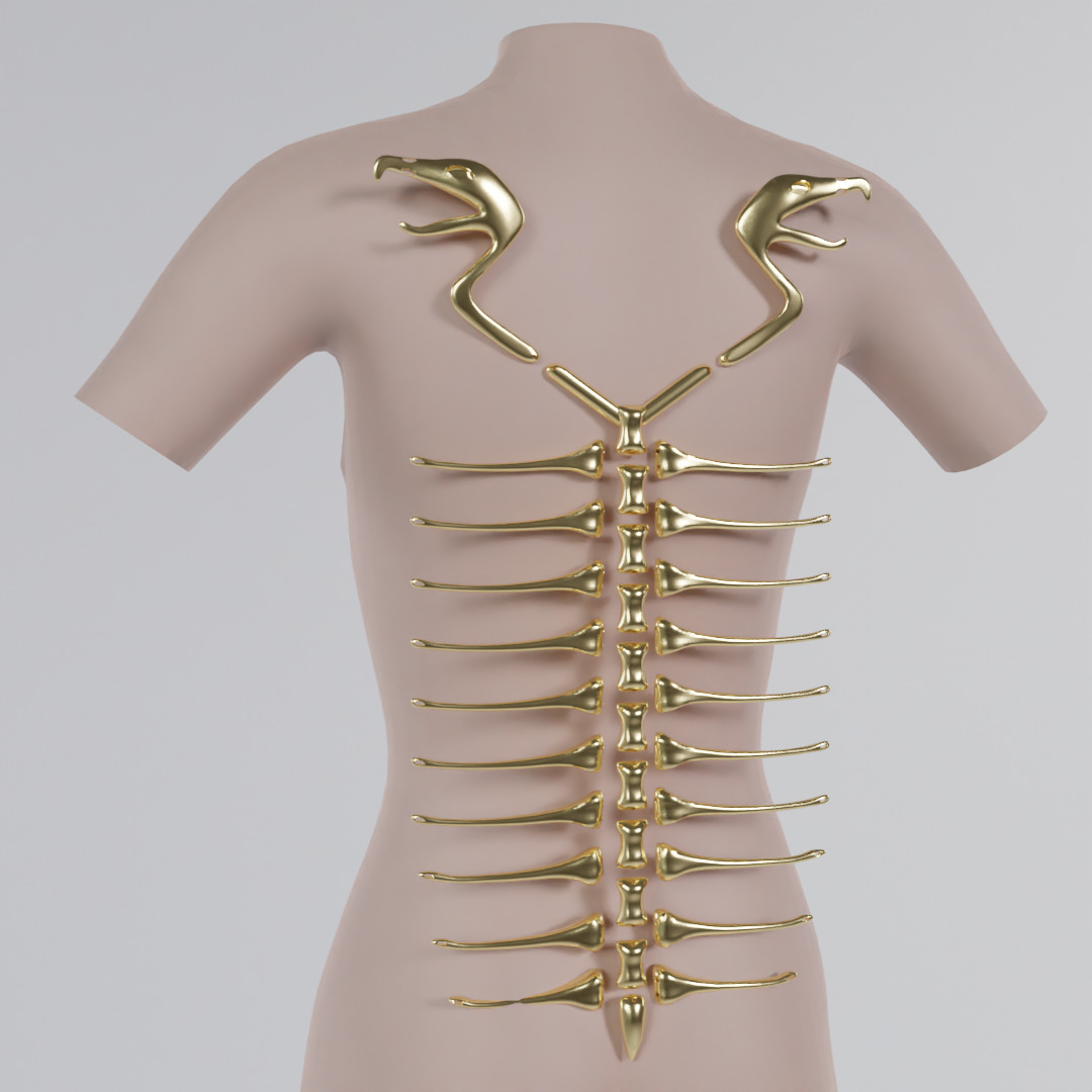 vertebras chain 3D print model_1