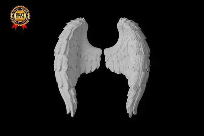 Sculpture of a Pair of Angel Wings Print Model 3D print model