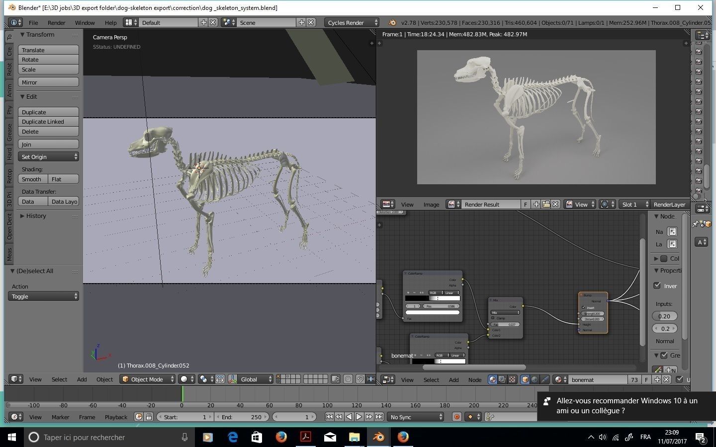Dog Skeleton 3D model_2
