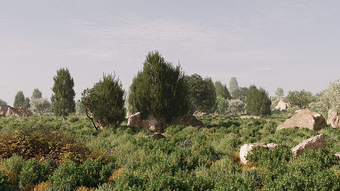 Maquis Shrubland Scatter - Archviz Asset 3D model