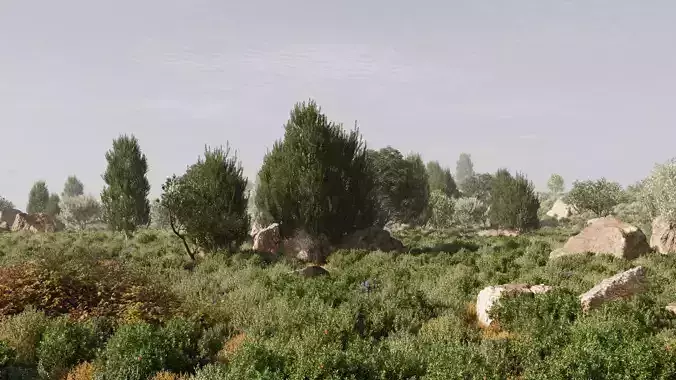 Maquis Shrubland Scatter - Archviz Asset