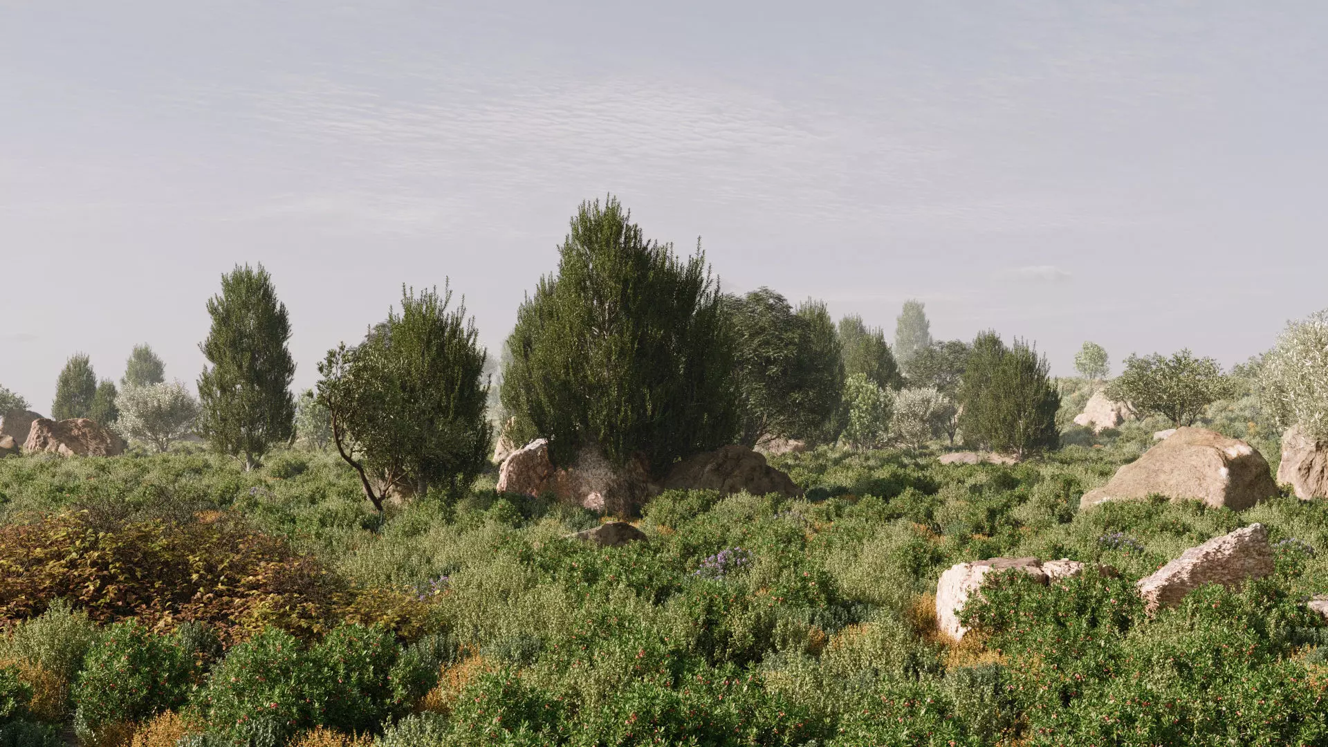 Maquis Shrubland Scatter - Archviz Asset 3D model