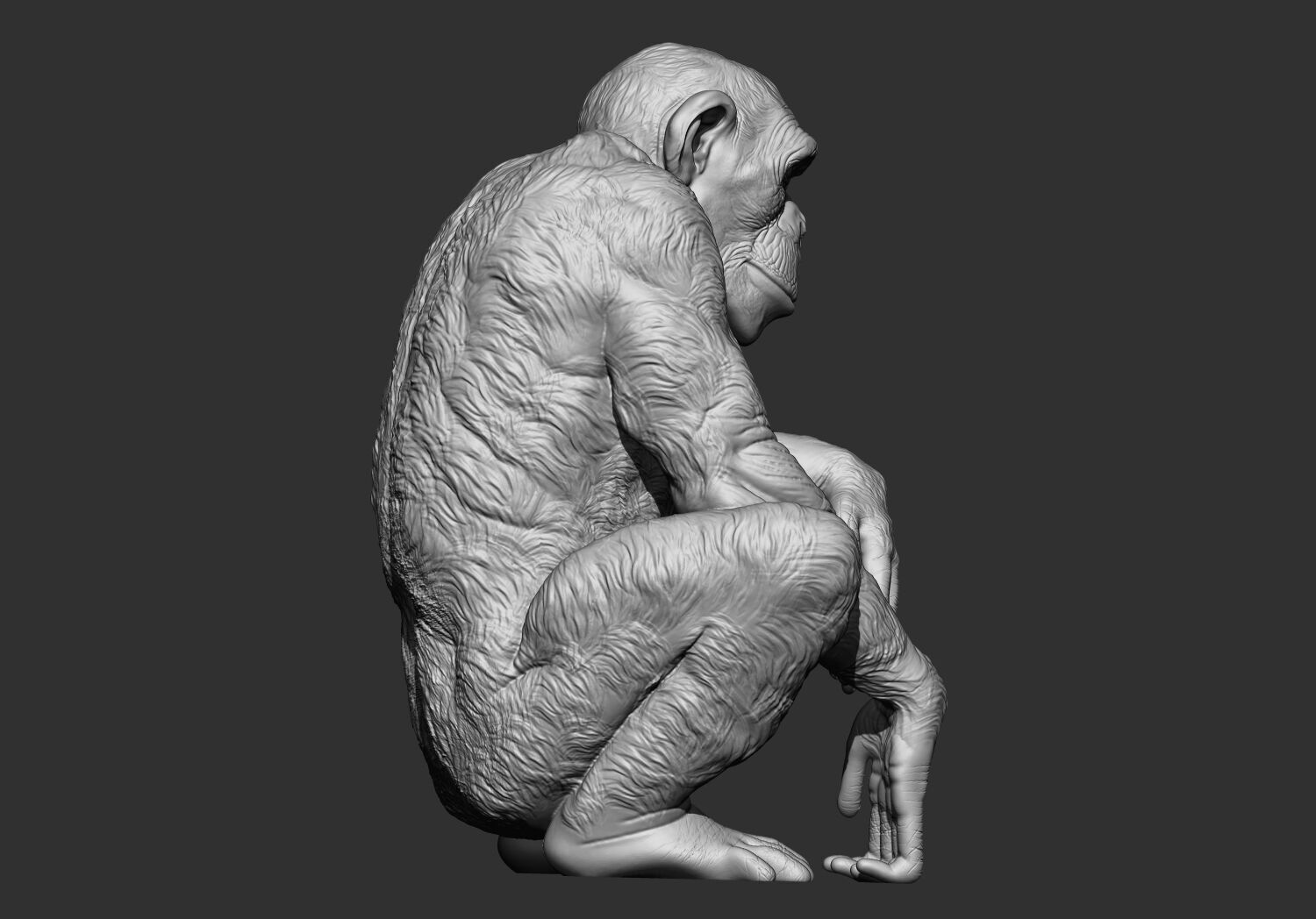 Chimpanzee monkey stl 3d printable model 3D print model_2