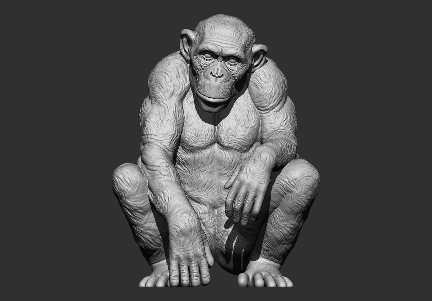 Chimpanzee monkey stl 3d printable model 3D print model_1