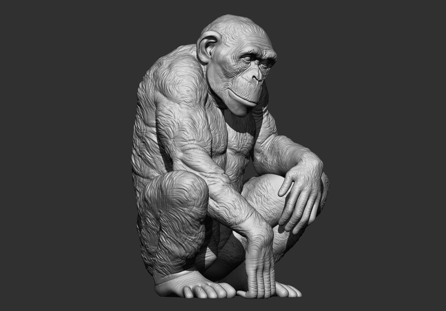 Chimpanzee monkey stl 3d printable model 3D print model_3