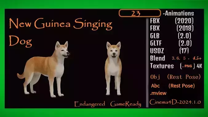New Guinea Singing Dog Low-poly 3D model