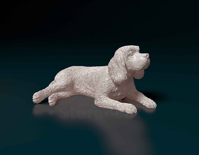 English Cocker spaniel 3D print model