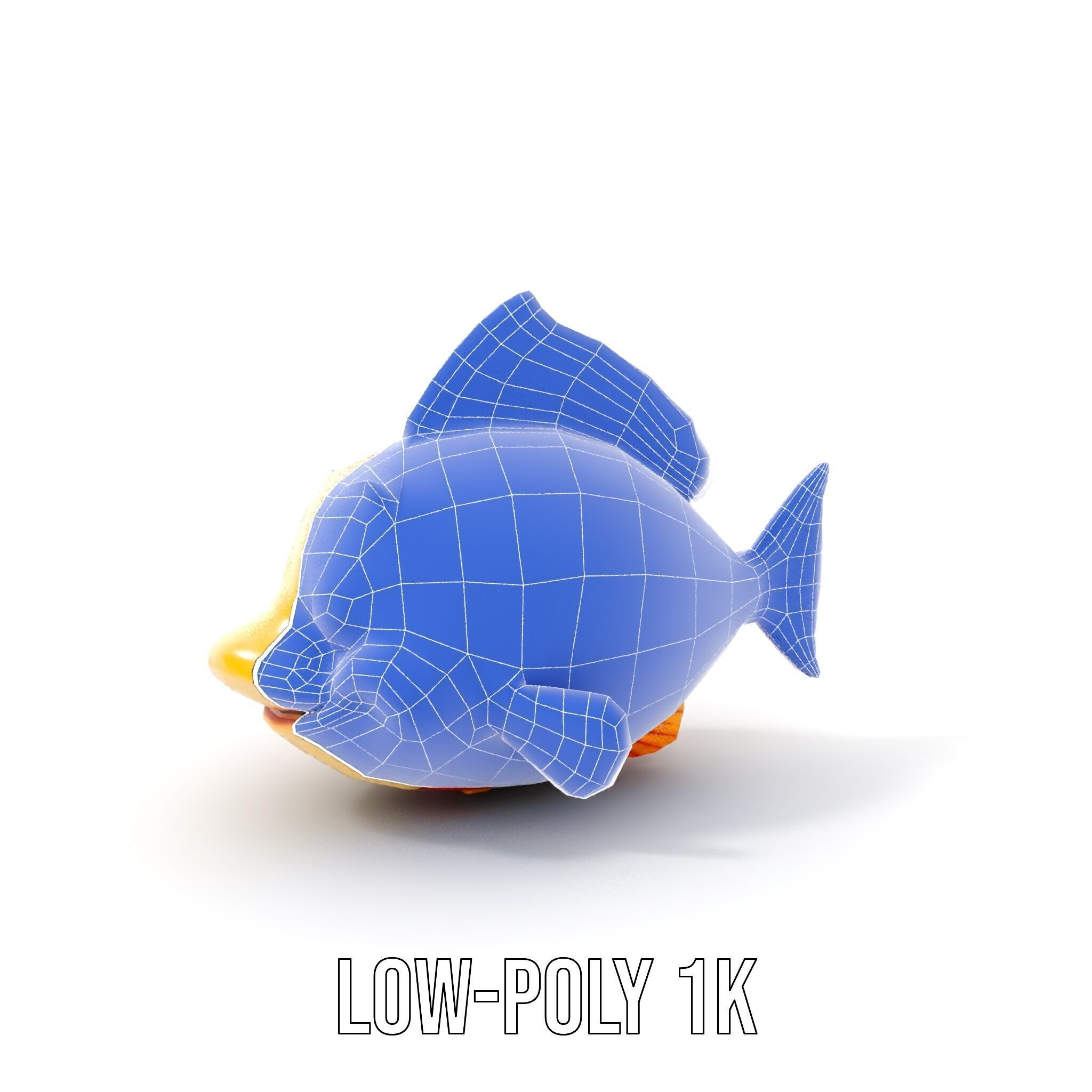 Animated Clownfish Character Model Pack for Games and Animation Low-poly 3D model_18