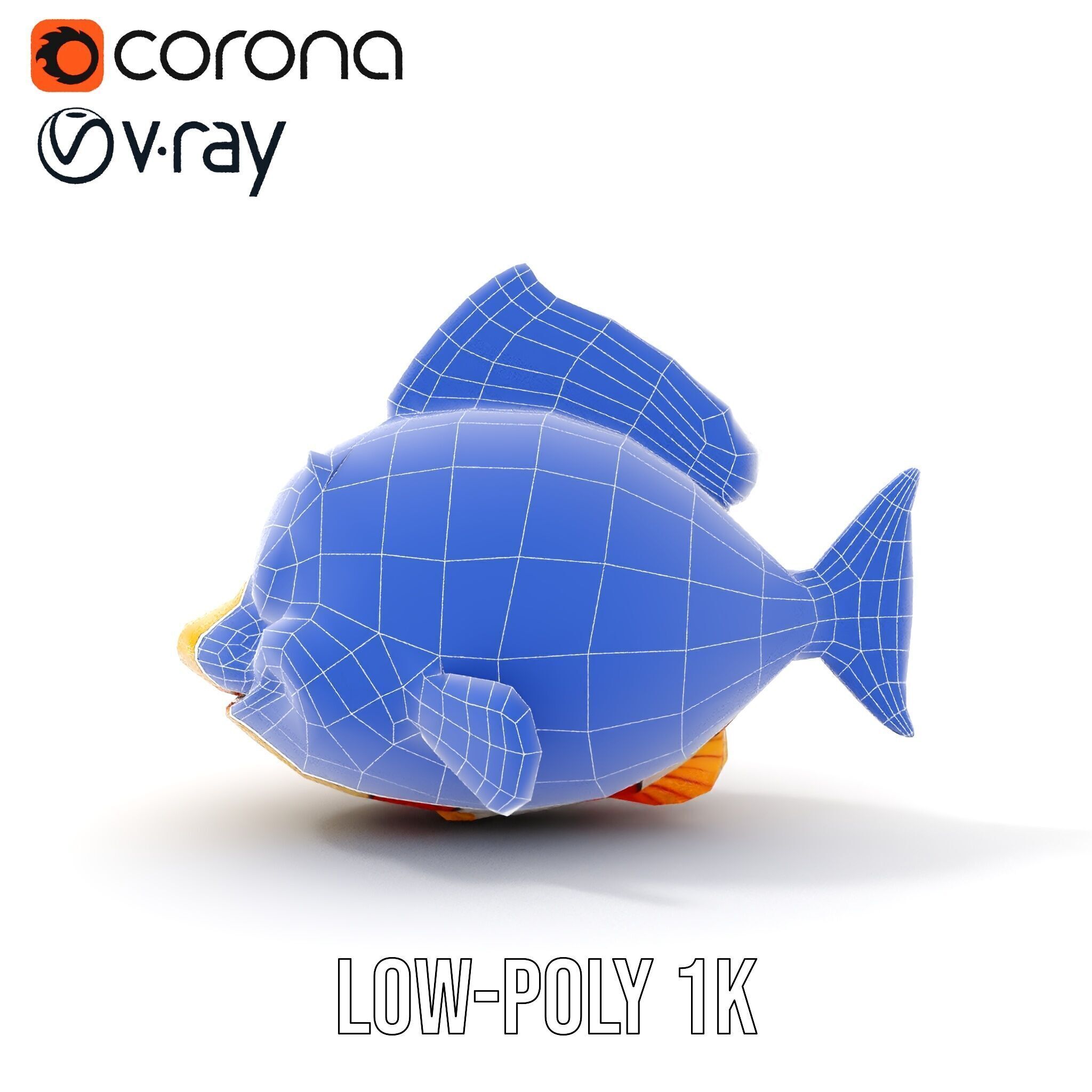 Animated Clownfish Character Model Pack for Games and Animation Low-poly 3D model_24