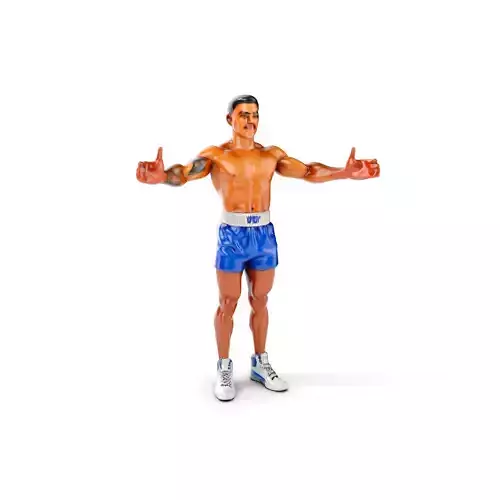 Boxer D Character Model Rigged and Animated Low-poly 3D model