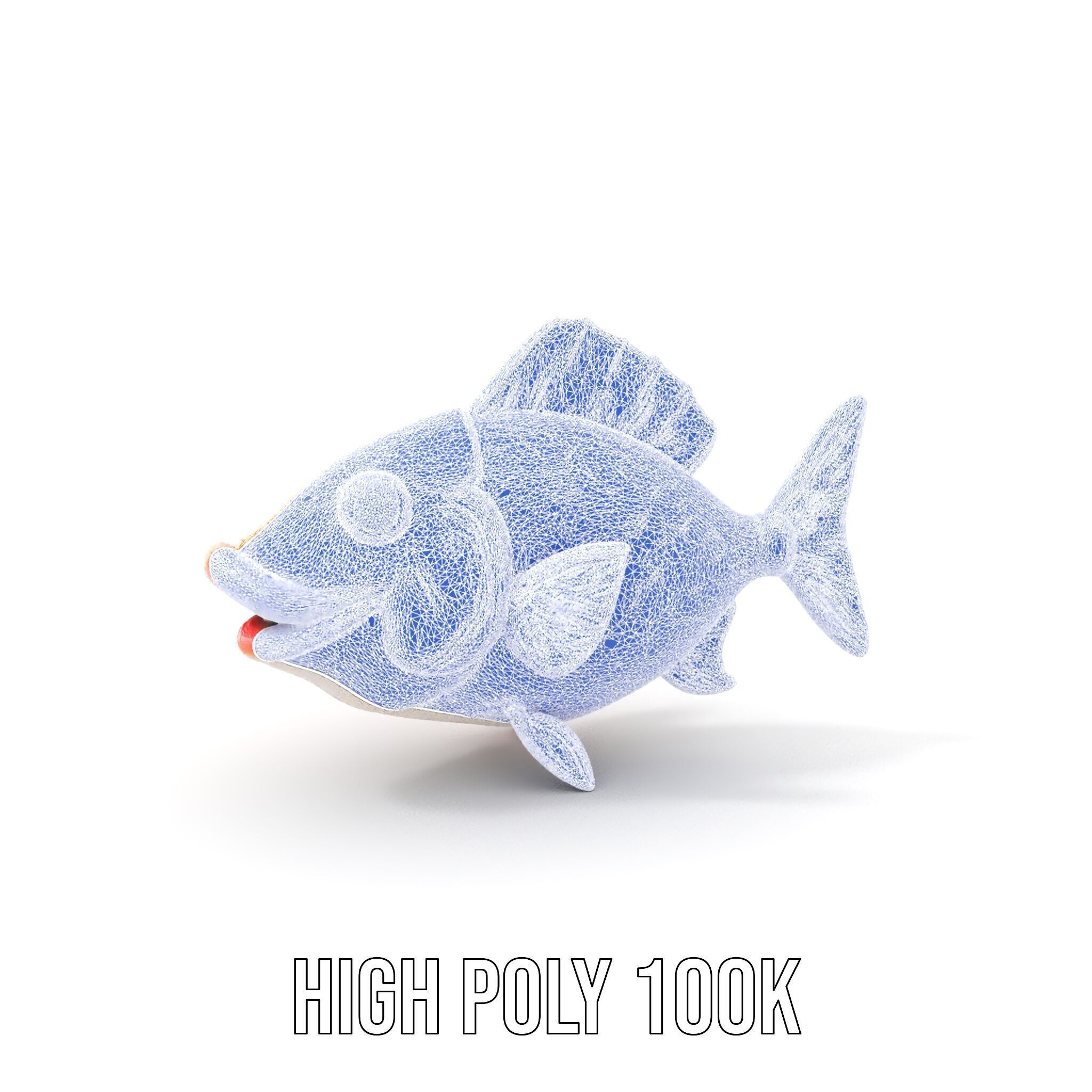 Cartoon Fish Character D Model Pack Low-poly 3D model_4
