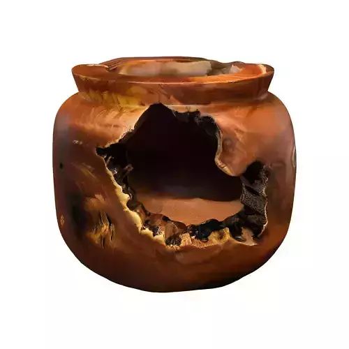 Natural Root Teak Vase
