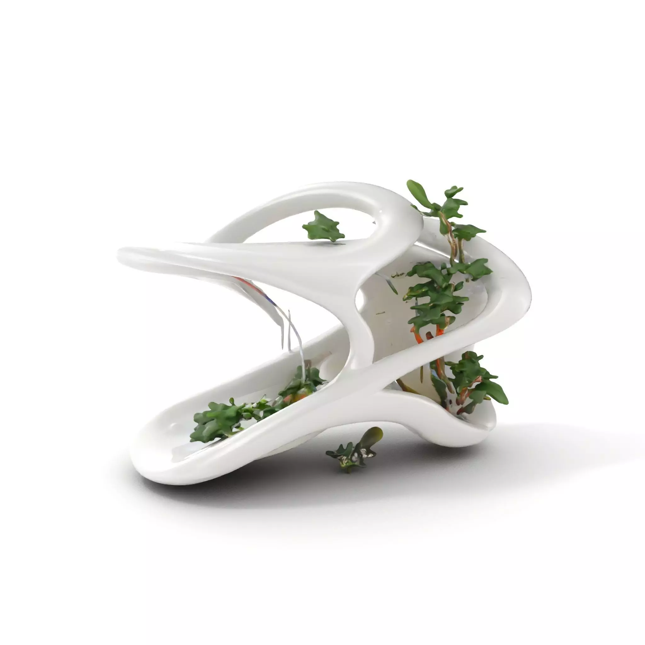 Abstract Organic Planter Model Pack with Integrated Foliage Low-poly 3D model_0