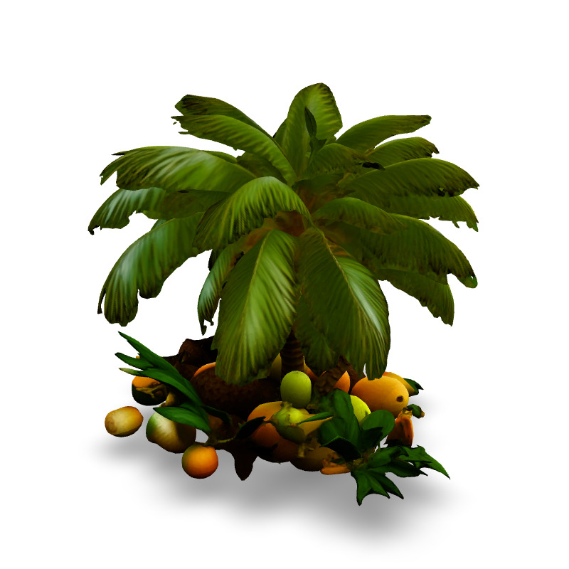 Tropical Coconut Palm Tree and Fruits Low-poly 3D model_5