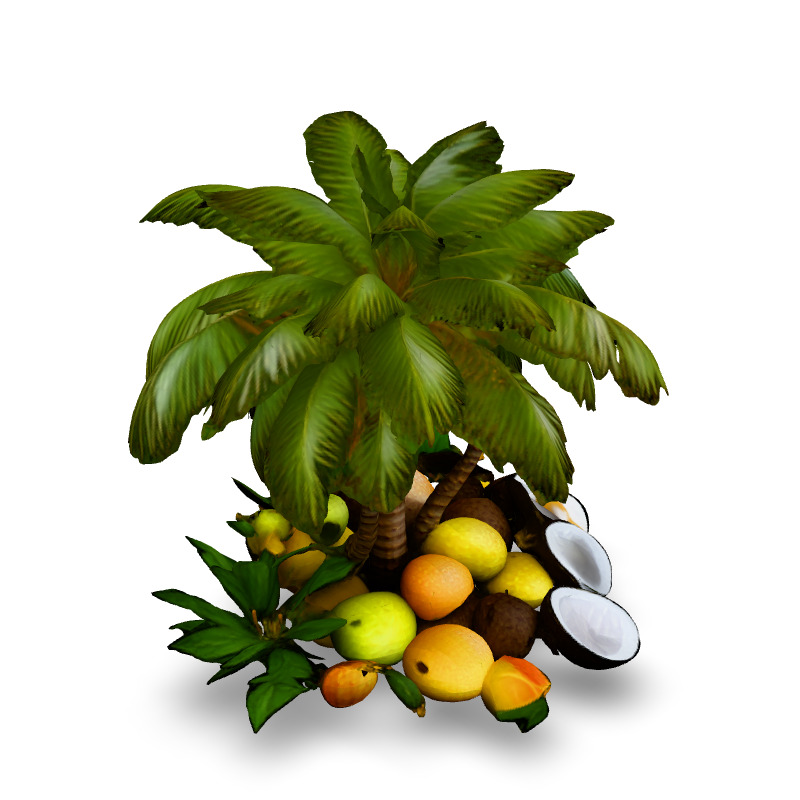 Tropical Coconut Palm Tree and Fruits Low-poly 3D model_2