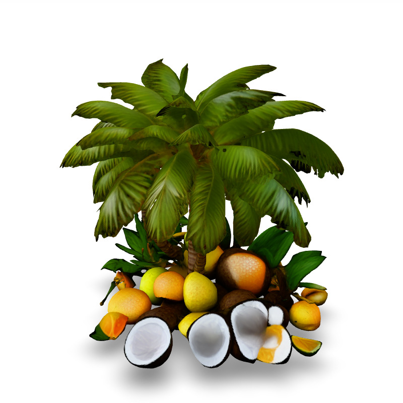Tropical Coconut Palm Tree and Fruits Low-poly 3D model_1