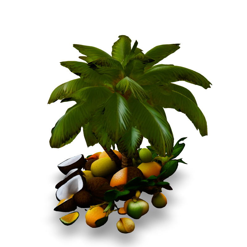Tropical Coconut Palm Tree and Fruits Low-poly 3D model_4